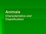 Animals Characteristics and Classification