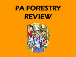 Pennsylvania Forestry Review
