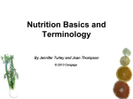 1.1 Nutrition Basics