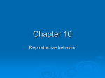 Chapter 10 Reproductive Behavior