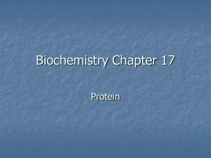 Biochemistry Chapter 17