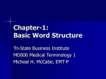 Chapter-1: Basic Word Structure