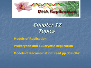 Ch. 12 DNA Replication and Recombination