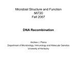 Bacterial Recombination