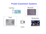 An overview of E. coli expression systems