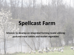 Spellcast Farm