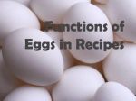 Functions of Egg PPT