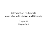 Introduction to Animals Invertebrate Evolution and Diversity