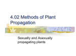 Methods of Asexual Propagation: Growing Plants Without Seeds.