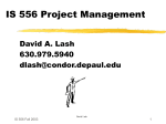 project managers