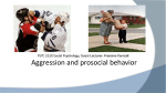 Aggression and prosocial behavior