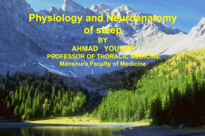 Physiology and neuroanatomy of sleep