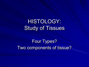 Histology master