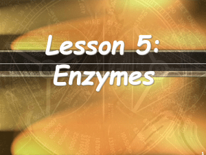 Lesson 5: Enzymes