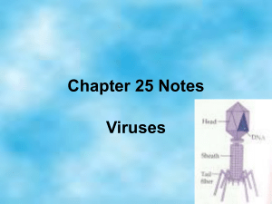 Chapter 25 Notes Viruses