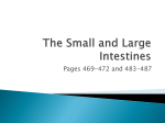 Ch 14 Small and Large Intestine- pgs. 469-472 and 483-487