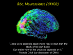 What is Neuroscience?