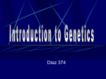 Genetics - Miami Beach Senior High School