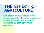 THE EFFECT OF AGRICULTURE
