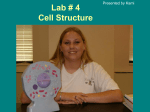 Cheek cell lab