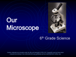 Microscope - Net Start Class