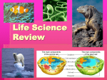 Life Science Review