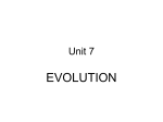 Unit 7 - TeacherWeb