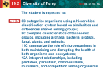 19.5 Diversity of Fungi TEKS 8B, 8C, 11C, 12A