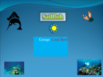 sailfish powerpoint