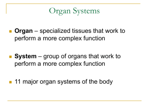 Organ Systems of the Body