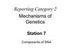 Station 7 - Components of DNA
