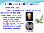 03 AP Bio Cells