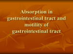 03 Absorption in gastrointestinal tract and motility of gastrointestinal