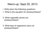 Photosynthesis Notes 2