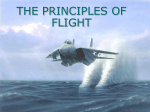 the principles of flight