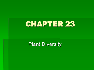 Botany CHAPTER 23