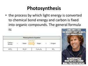 Photosynthesis