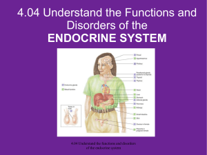 The Endocrine System