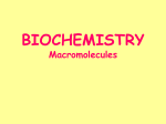 Biochemistry_2011