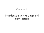 Introduction to Physiology and Homeostasis