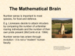 The Mathematical Brain