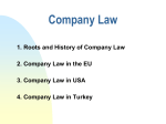 3. company law in the usa