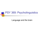 PSY 369: Psycholinguistics - Illinois State University