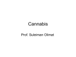 Cannabis (1)