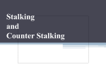 Stalking and Domestic Violence