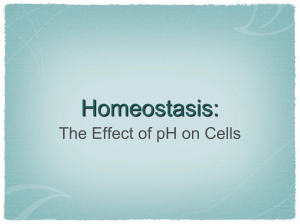 Effect of pH on Cells 2014