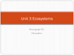 Unit 3 Ecosystems