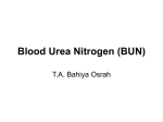 Blood Urea Nitrogen (BUN)