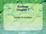 Ecology Chapter 7 - Mrs. Graves Science