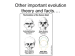 Other important evolution theory and facts….